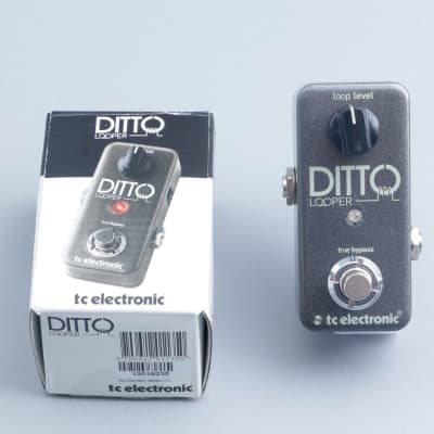 TC Electronic Ditto Looper