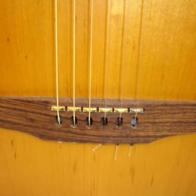 1998 Godin Multiac Nylon Acoustic Electric Guitar, Sunburst w/ Bag image 5