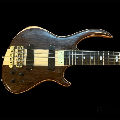 Alembic Rogue 5-string for sale