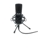 CAD Audio GXL2600USB Large Diaphragm Studio Condenser USB Microphone