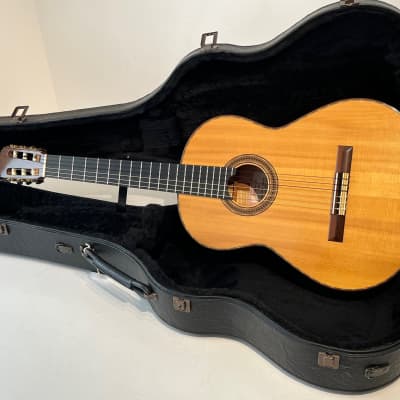 2000 Michael Gee Acoustic Flamenco Guitar - Professional Grade with Case for sale