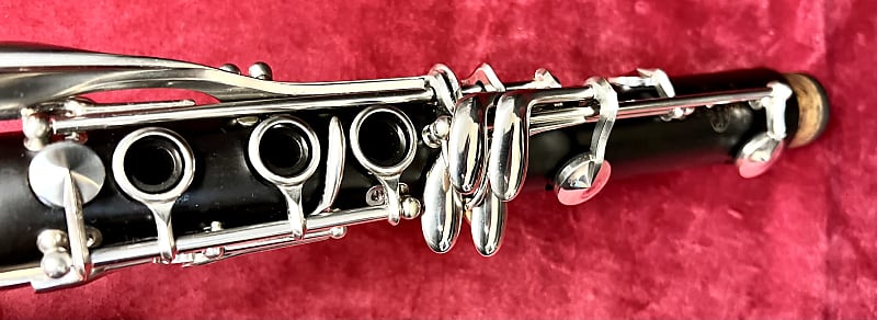 Buffet Crampon R13 Greenline Professional Wood Clarinet New