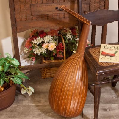 Roosebeck Deluxe 8-Course Lute Sheesham & Canadian Spruce image 2