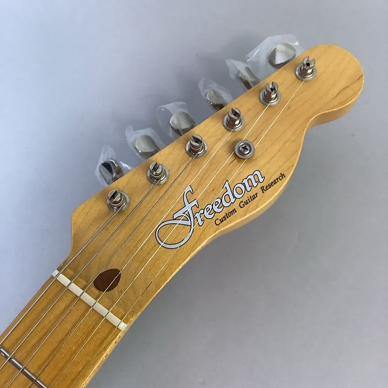 FREEDOM CUSTOM GUITAR RESEARCH R.S.TE