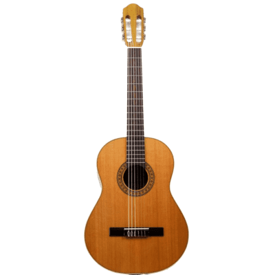 Raimundo 1492-61 Classical Guitar 61 Cm | Reverb