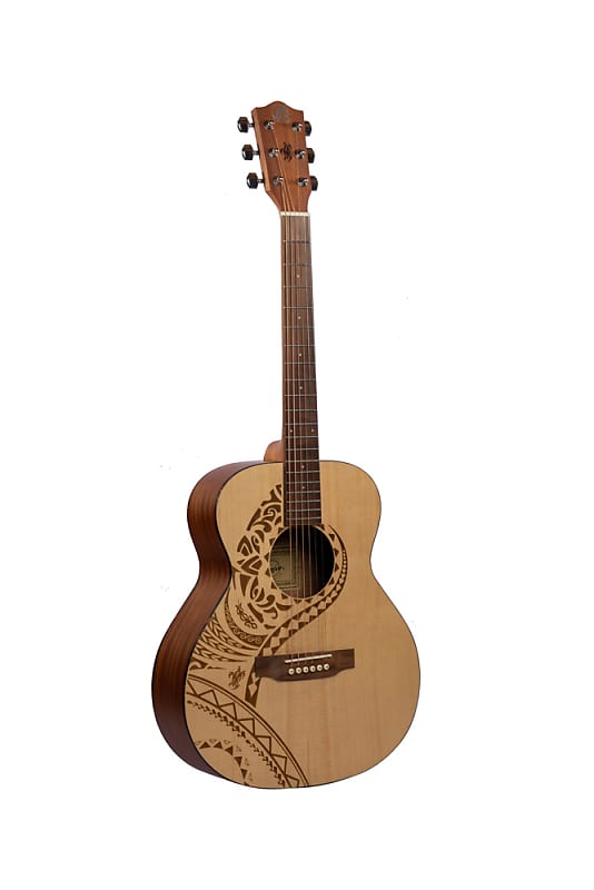Mahogany Vision Acoustic Guitar