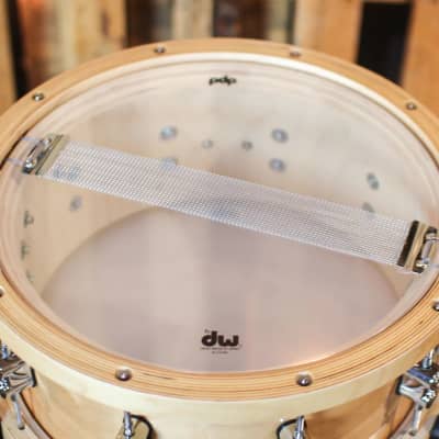 PDP 6.5x14 Concept Maple Thick Wood Hoop Snare Drum image 4