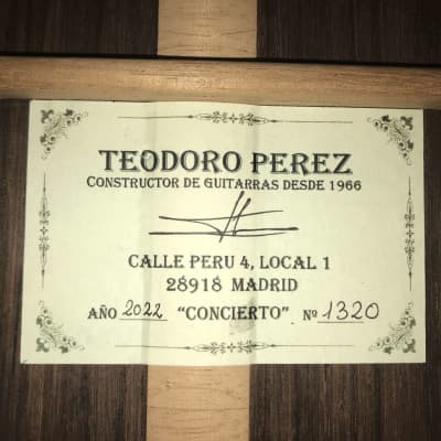 Teodoro Pérez "Concierto" 2022 (w/video) image 10