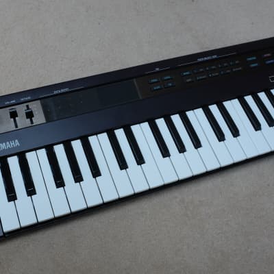 Yamaha PLG150 DX 7 FM expansion board (FREE shipping) (Motif