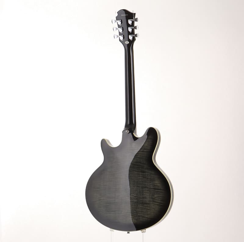 FERNANDES/BURNY Lexington Limited See-thru Black [SN