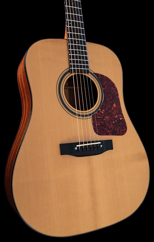 Gallagher G 55 Dreadnought 2011 Natural image 1
