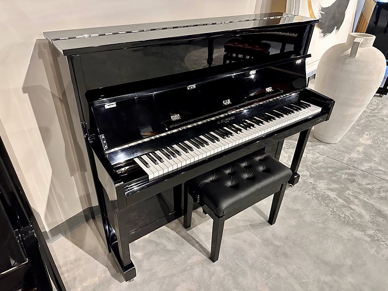 G. Steinberg RH-123 2017 - Polished Ebony image 1