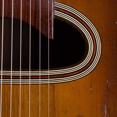 A. DiMauro  Boogie Woogie Gypsy Jazz Guitar (1950s), black gig bag case. image 11