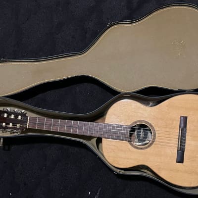 Giannini AWN 60 Nylon Acoustic Guitar 1974 - Brazilian Rosewood image 3