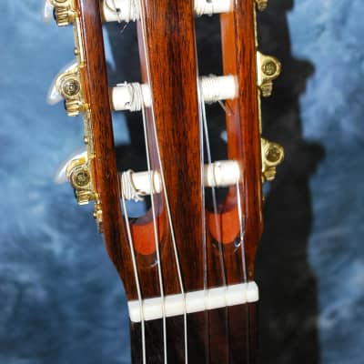 2012 New World Bubinga Model Classical Guitar Truss Rod New Strings Deluxe Original Hard Case image 6