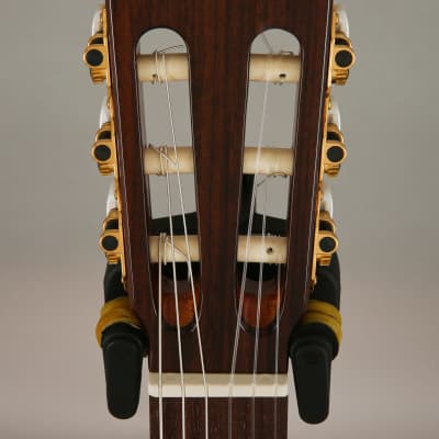 Perez 635 Ziricote Solid Red Cedar Top Mahogany Nylon Classical Guitar image 5