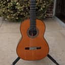 Cordoba C10 Parlor Classical Acoustic Guitar