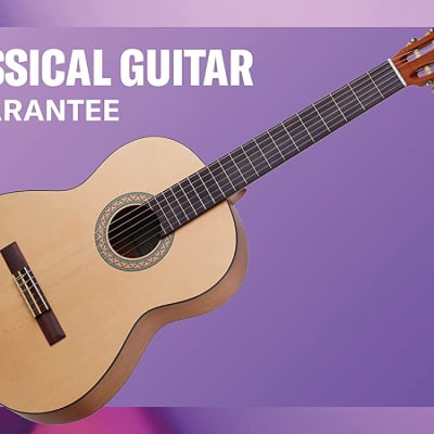 Yamaha 22.8 Inches Merantiwood Classical Guitar C40//02 (Brown)