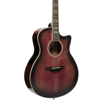 CRAFTER Noble series, Small jumbo acoustic-electric guitar with solid maple top NOBLE TPS for sale