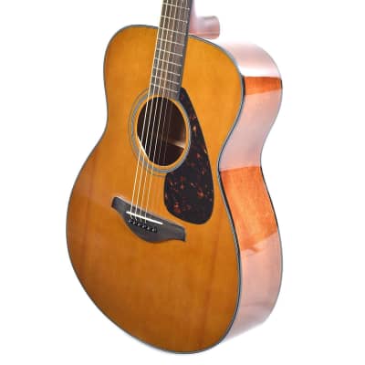 Yamaha - FS800 T - Concert Acoustic Guitar - Tinted Solid Top image 2