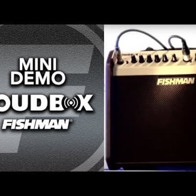 Fishman Loudbox Mini Bluetooth 60-Watt Acoustic Guitar Amplifier image 7