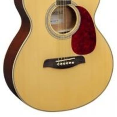 Brunswick BF200 Grand Auditorium Acoustic Guitar - Natural Spruce for sale