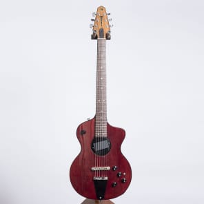 Rick Turner Model 1 LBU Lindsey Buckingham Signature Electric Guitar image 1