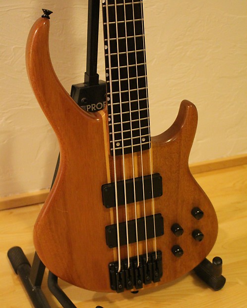 Peavey grind best sale bxp 5