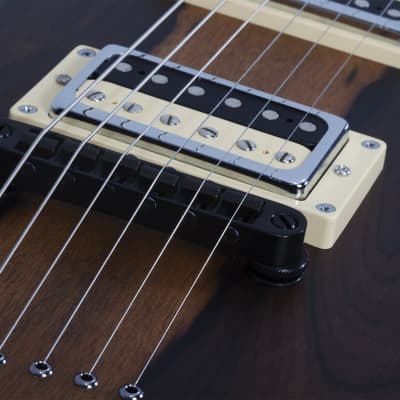 Schecter Avenger Exotic Ziricote image 9