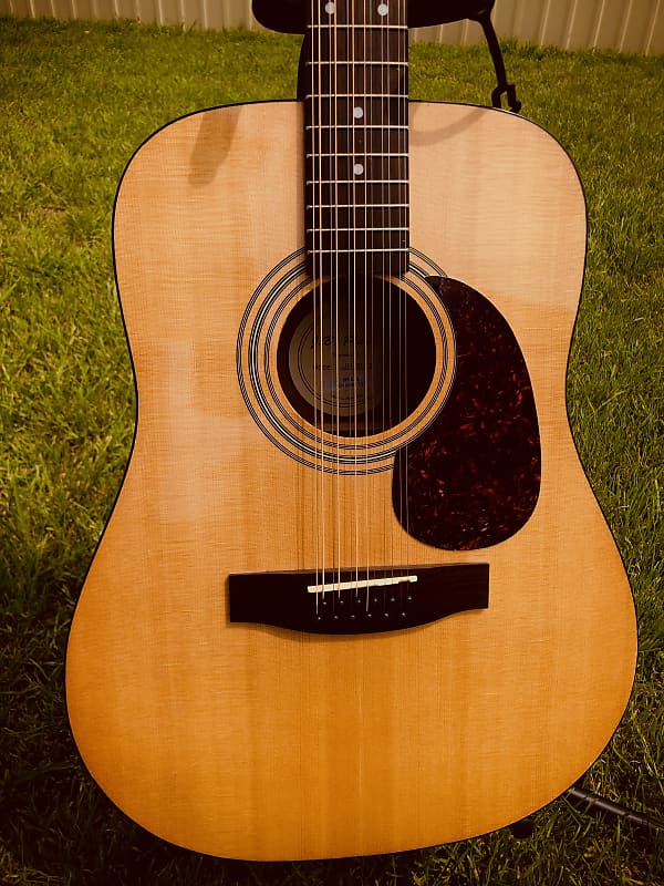 J.B. Player JB-20-12 12 String Acoustic Guitar with Gig Bag - Natural