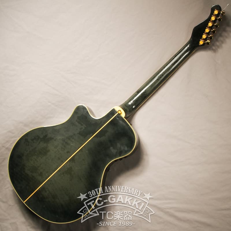 YAMAHA APX-10S|ドルフィンギターズ