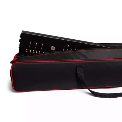 Soma Laboratory Soft Case for Flux Synthesizer image 3