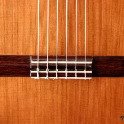 1995 Paris Banchetti Concert Classical, Brazilian Rosewood/Cedar image 13