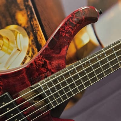 Ibanez EHB1505-SWL Bass Workshop 5-Str Stained Wine Red Low Gloss Incl. Gigbag image 2
