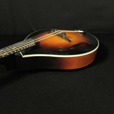 Eastman MD305E-SB A Style Mandolin with Pickup and Bag image 13