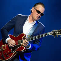 The Official Joe Bonamassa Reverb Shop