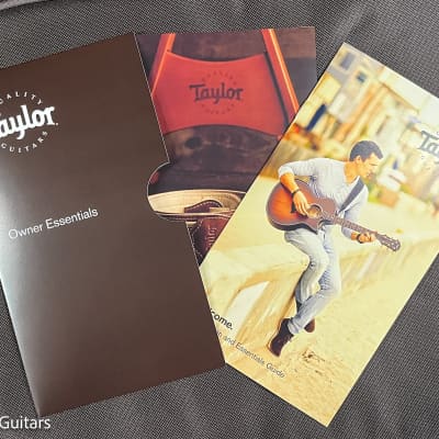 Taylor GS Mini-e Rosewood Plus (337) image 8