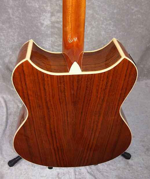Wechter Pathmaker 3120 acoustic electric guitar with gigbag