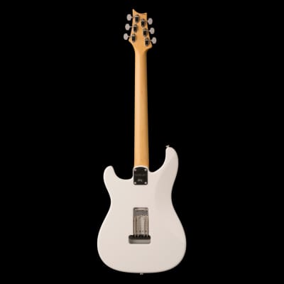 PRS Silver Sky Rosewood Frost Electric Guitar With Gig Bag - Demo image 4