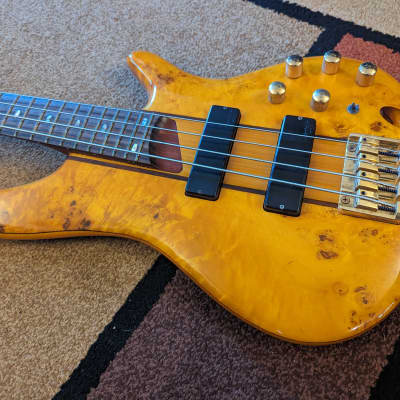 Ibanez SR800 AM 4 String Bass - Amber Repack Retail Box 606559801688 |  Reverb