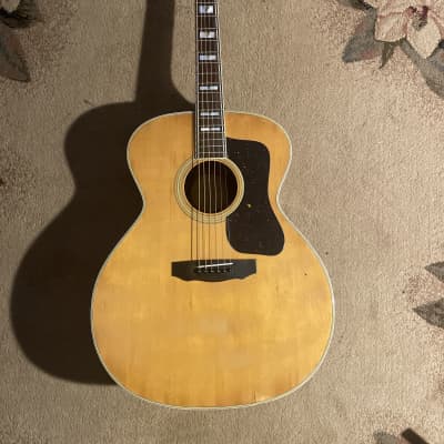 Very Rare Vintage 1978 Hohner HG-741 Japan Lawsuit Guild 12