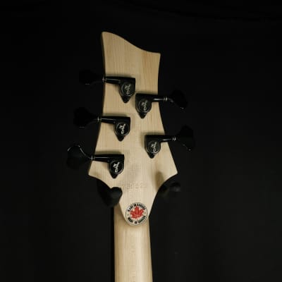 F Bass BN5 5 String Bass 2-Piece Natural Ash Body Ebony Fingerboard image 7