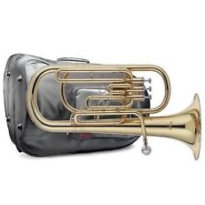 Stagg WS-BT235 Brass Body 3 Top Action Valves BBb Tuba w/ABS Case on Wheels&Mouthpiece Silver Plated image 2