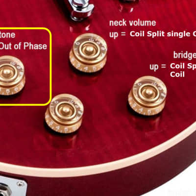 Phase Shift Push/Pull Potentiometer for Epiphone Les Paul Standard Pro - Upgrade to Custom Pro Specs image 3