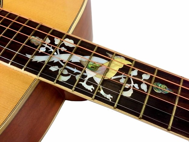 Acoustic guitar with bird inlays sale