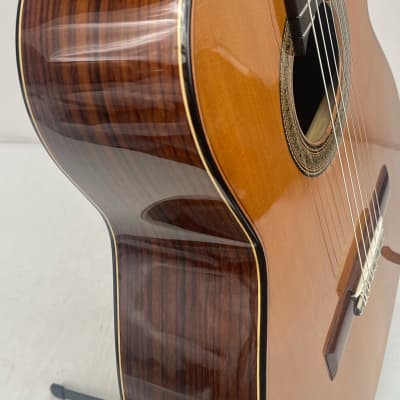 Superior Concert Mariachi Guitar 2023 - Nitro Gloss image 6