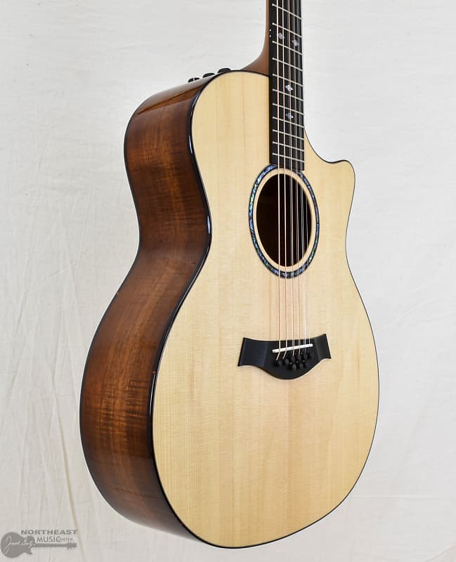 Taylor GT 811e Acoustic-electric Guitar - Natural