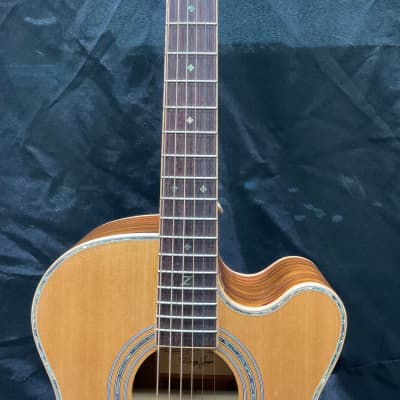 Zager ZAD-900 OMCE image 4