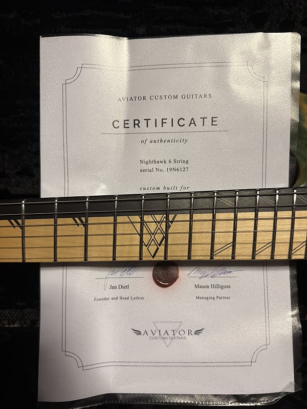 [希少] Aviator Guitar Nighthawk6 Lefty Aviator Nighthawk6 Lefty 2020~2021 - Gloss Finish | Reverb