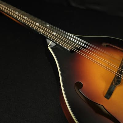 Eastman MD305E-SB A Style Mandolin with Pickup and Bag image 12